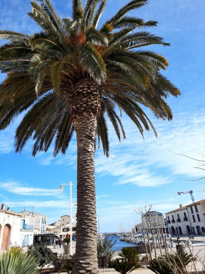 Appartement De Charme Sur Le Port De Marseillan 외부 사진