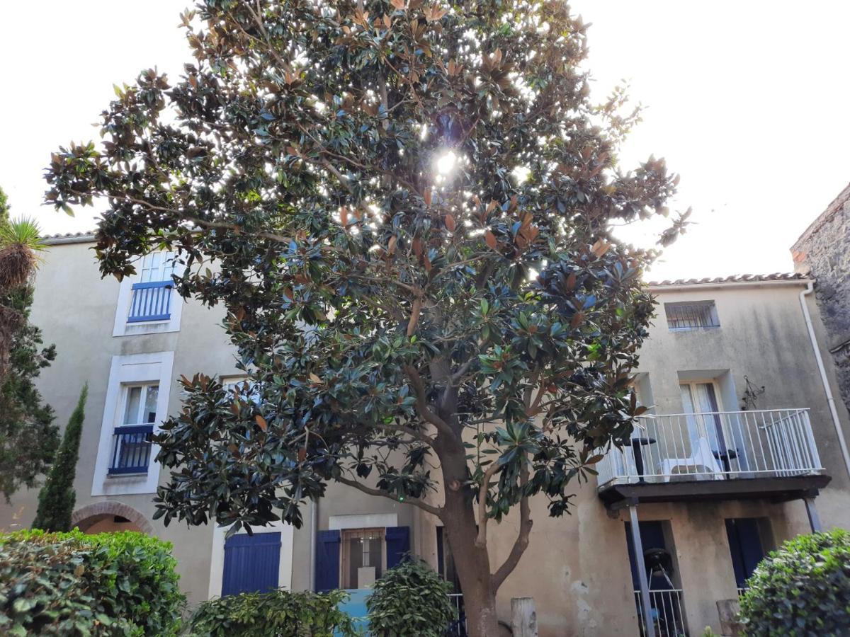 Appartement De Charme Sur Le Port De Marseillan 외부 사진